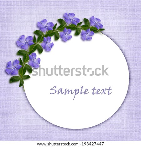 Periwinkle flowers line in a corner of white and blue background