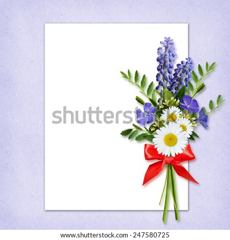 Wild flowers bouquet on white and blue background