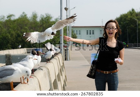 thailand woman feeding seagulls