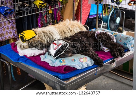 Two dogs sleeping with funny clothes