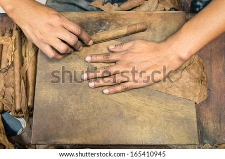 Hands making cuban Cigar - Live manual production