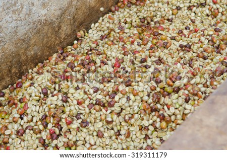 Coffee beans,In the ferment-and-wash method of wet processing