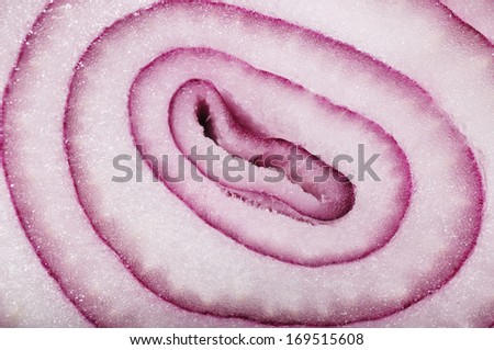 Macro shot of sliced purple onion background
