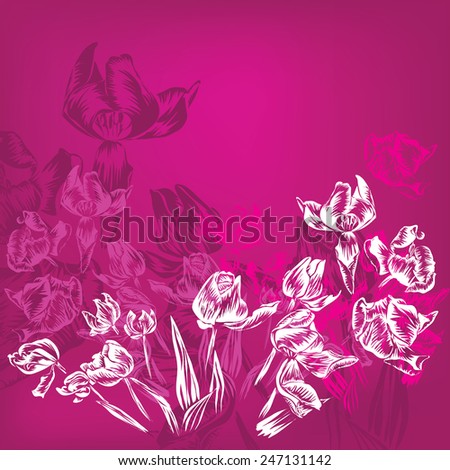 flower tulips vector background pink