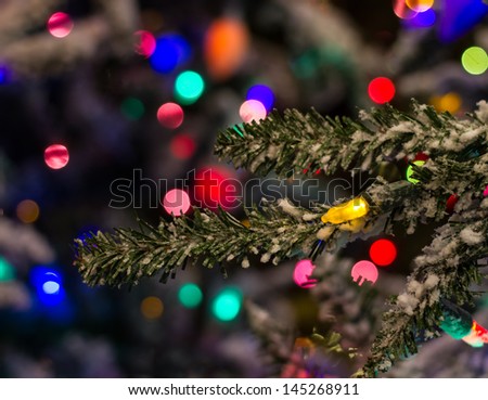 Christmas Lights on the Tree