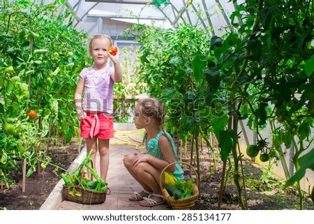 Little girls collecting crop cucumbers in the greenhouse