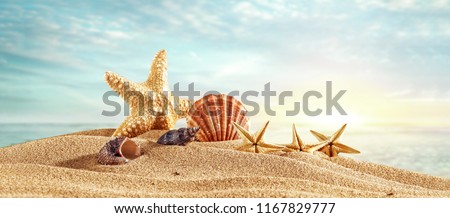 Summer Photo