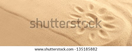 sun mark on sand