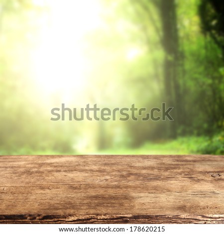 empty space and desk in forest