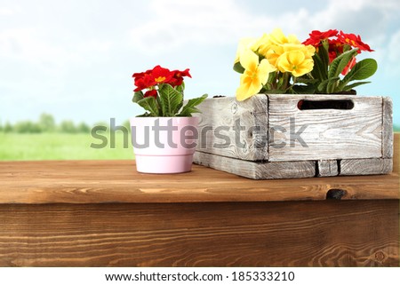 garden pots and desk