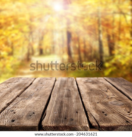 worn table in golden forest space