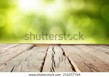 green space of garden with wooden retro table