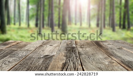 table top and forest of green color with sun