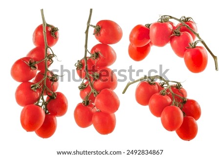 Similar – Image, Stock Photo Ripe red tomatoes in box