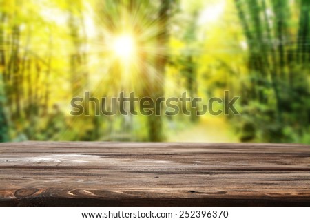 green spring forest background of sun light and brown top