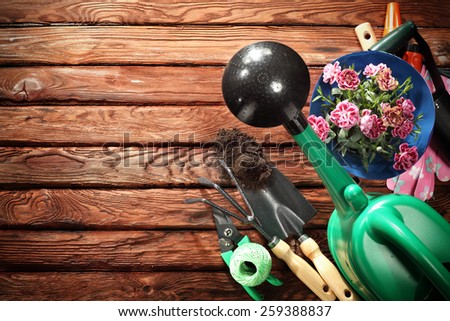 wooden floor flowers and can