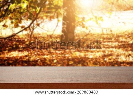 single tree in a forest of fallen leaves and dark brown desk