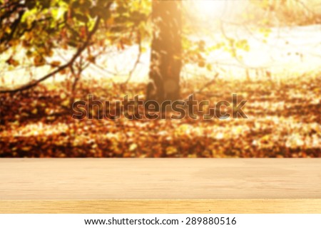 single tree in a forest of fallen leaves and yellow desk space