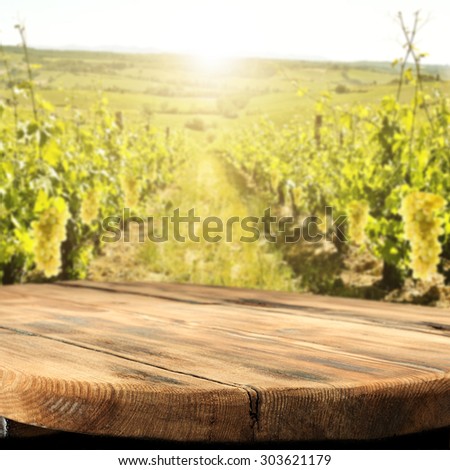 blurred background of vineyard and fruits on plant sun and white sky
