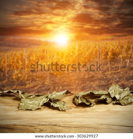 autumn sunset and landscape with leaves desk top and fall