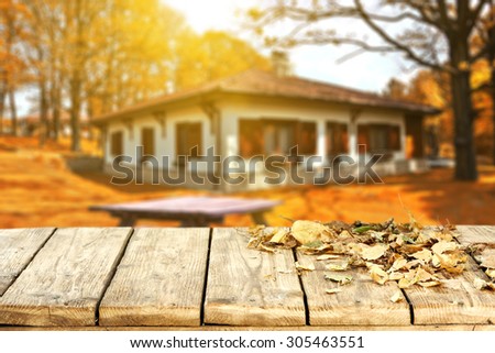 blurred background of autumn and wooden floor in garden