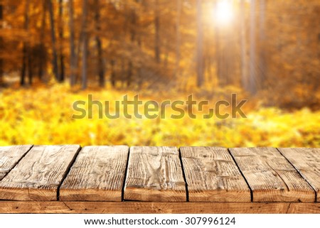 wooden table place and forest of autumn