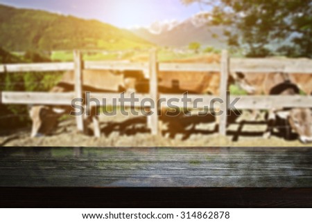 summer light of sun and cows with black desk top