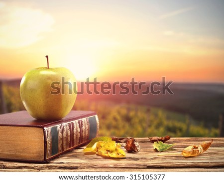 orange autumn sunset on sky with free space for your decoration and apple on book