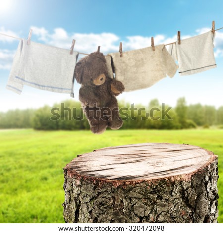 background of laundry on rope and space for your basket