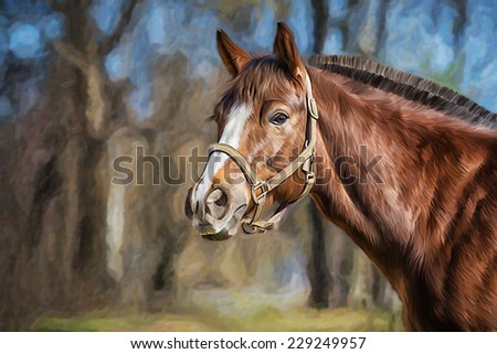 Drawing of a horse, portrait