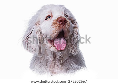 Drawing puppy Spaniel, portrait oil painting on a white background