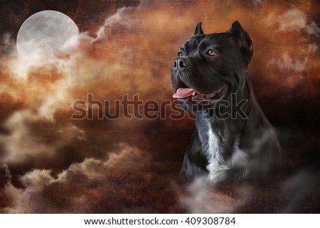 Drawing Oil Painting Dog Breed Cane Corso On Old Vintage Grunge Paper Wall Decor Galore Canvas And Paper Wall Art Prints