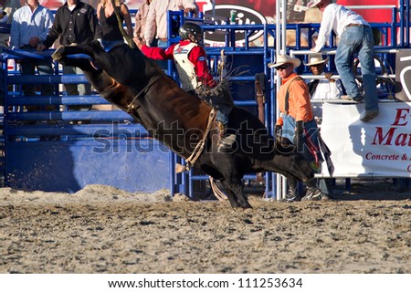 SAN JUAN CAPISTRANO, CA - AUGUST 25: unidentified cowboy competes in the bull riding event at the PRCA Rancho Mission Viejo rodeo in San Juan Capistrano, CA on August 25, 2012.