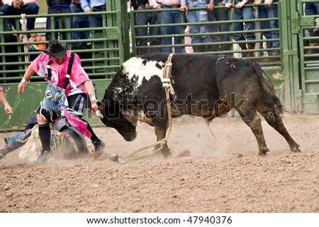APACHE JUNCTION, AZ - FEBRUARY 26: A bull fighter distracts a bull during the bull riding competition at the Lost Dutchman Days Rodeo on February 26, 2010 in Apache Junction, Arizona.
