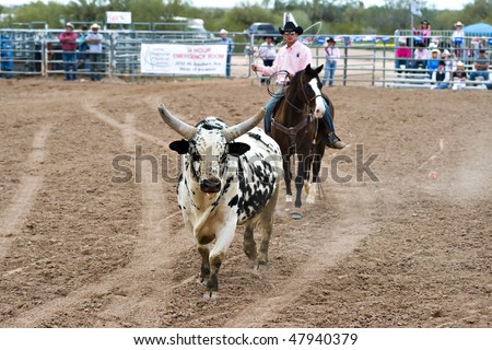 APACHE JUNCTION, AZ - FEBRUARY 26: A rodeo pick-up man corrals a bull during the bull riding competition at the Lost Dutchman Days Rodeo on February 26, 2010 in Apache Junction, Arizona.