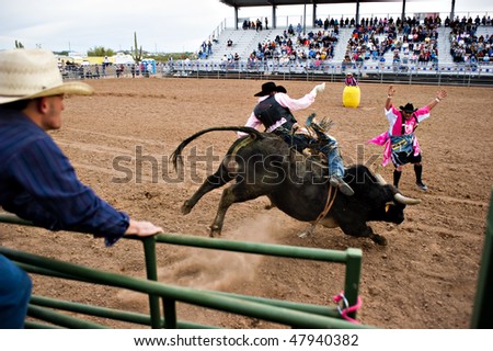 APACHE JUNCTION, AZ - FEBRUARY 26: A cowboy rides a bucking bull in the bull riding competition at the Lost Dutchman Days Rodeo on February 26, 2010 in Apache Junction, Arizona.
