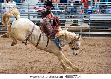 APACHE JUNCTION, AZ - FEBRUARY 27: A cowboy rides a bucking horse in the saddle bronc competition at the Lost Dutchman Days Rodeo on February 27, 2010 in Apache Junction, Arizona.