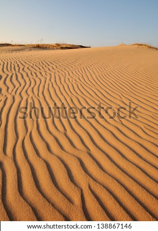 Lines in Sand Dunes/Dune lines/Sleeping Bear Dunes National Lakeshore, Michigan