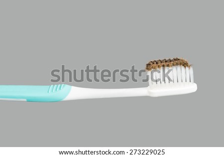 toothbrush with many venomous spines caterpillar look like toothpaste isolated on gray background
