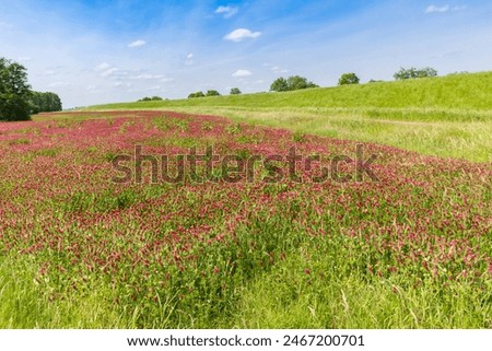 Similar – Image, Stock Photo Ems dike in the fog Fog