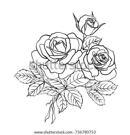 Red Rose Clip Art | 123Freevectors