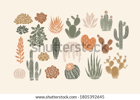 Various cactus collection. Vintage silhouette style illustration. Succulent set.