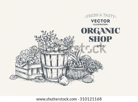 Organic food design template. Healthy eating background. Vector illustration