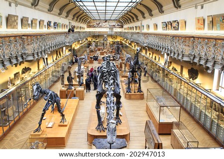 PARIS, FRANCE - MARCH 17 : Skeletons of dinosours in the National Museum of Natural History on March 17th, 2014 in Paris, France
