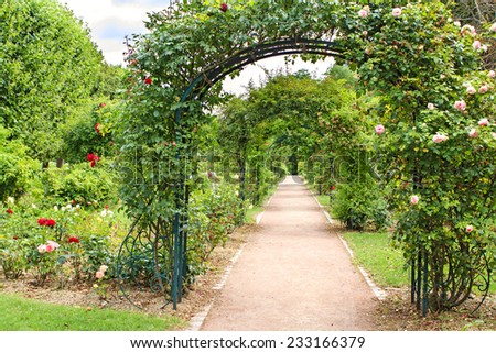 Beautiful fresh green natural archway made of blooming plants, vanishing point perspective in Jardin des Plantes garden in Paris