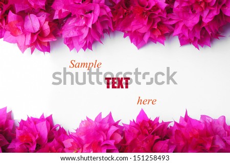 Bougainvillea flowers with sample text