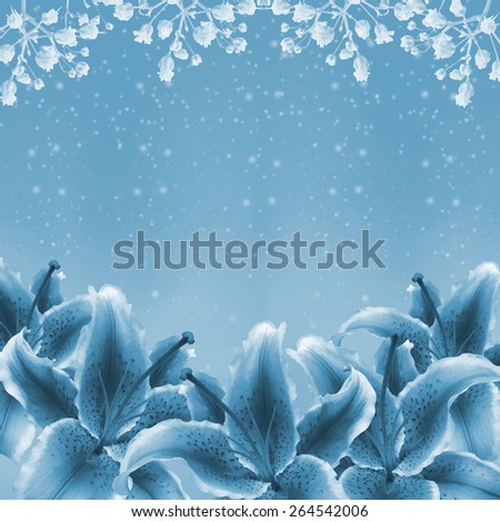 Beautiful lily flowers background on blue -Easter lilies