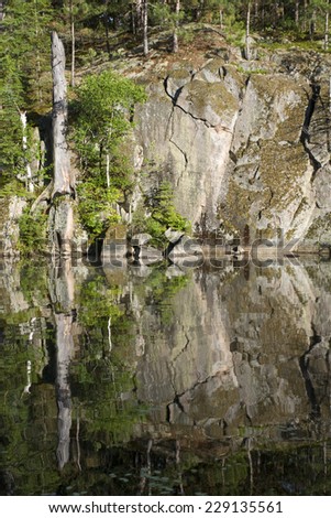 Vertical image of a rock face reflectionÃ?Â??rotate 90 degrees and see the faces.