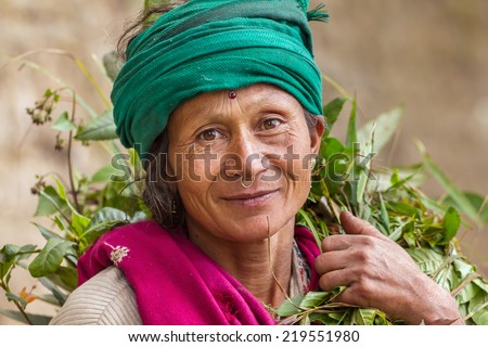 DARJEELING, INDIA - MARCH 17: Portrait of an  unidentified woman tea picker March 17, 2013 in Darjeeling, India.