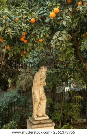 Similar – Image, Stock Photo Stone statues near ancient temple